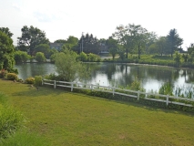 wp_50th-3d_Sat_Misc_Misc-01